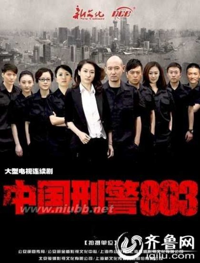 刑警结局 中国刑警803电视剧全集演员表1-50集剧情介绍大结局