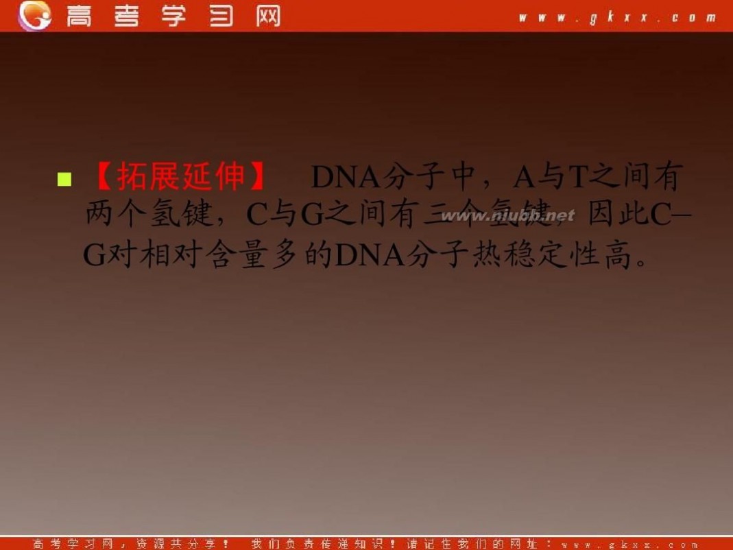 dna分子的结构 DNA分子的结构