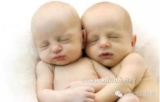 郝蕾双胞胎儿子 林志颖、范玮琪、郝蕾，明星这么容易怀双胎宝宝？