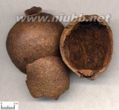 番石榴的功效与作用 石榴皮的功效与作用，石榴皮药用价值
