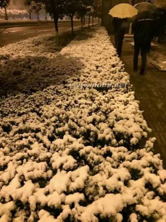 重庆下雪 2016重庆主城第一场雪，美成这样！（已刷爆朋友圈）