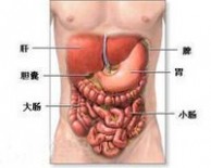 肠易激综合症 肠易激综合征