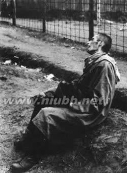 1945年1月27日苏军解放奥斯维辛集中营_奥斯维辛集中营