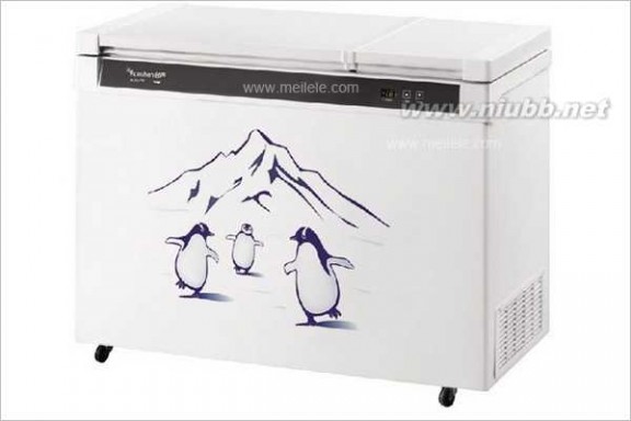 白雪冰柜怎么样 容声冰柜质量怎么样 商用容声冰柜图片大全