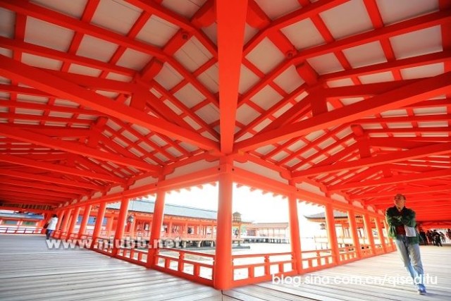 【日本】广岛，严岛神社与弥山彩林