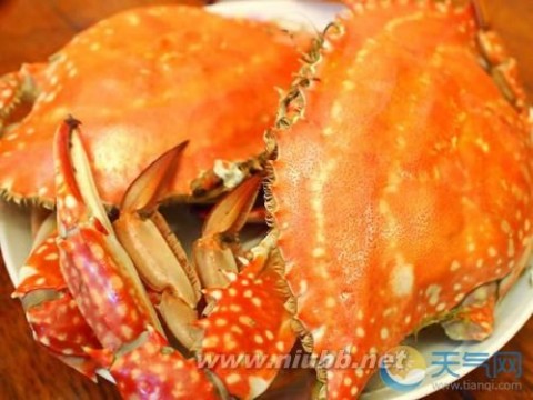 螃蟹不能和什么一起吃 螃蟹和什么不能一起吃 吃螃蟹的8大禁忌