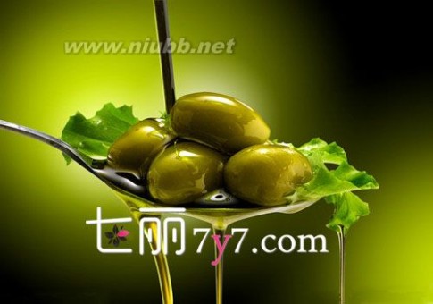 橄榄油的功效与作用 去黑头和护唇都很有效_橄榄油的功效与作用