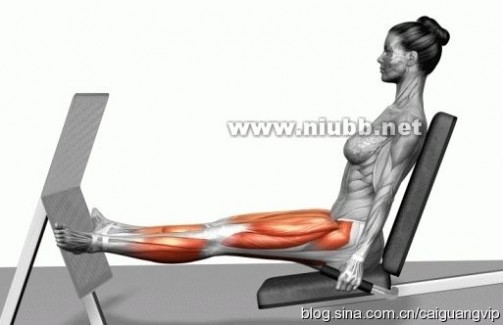 图解：如何科学锻炼你的肌肉线条！