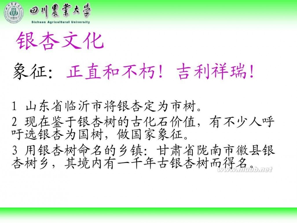 林学概论 四川农业大学 林学概论课件