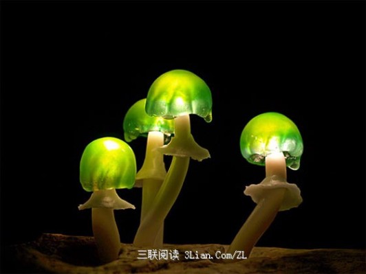  日本设计师 Yukio Takano 设计的蘑菇灯