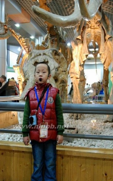 参观北京自然博物馆