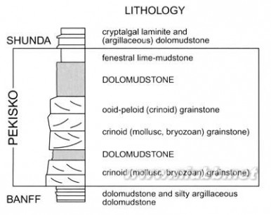 dolomite The geometry and petrogenesis of dolomite hydrocarbon reservoirs-3