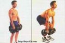 锻炼肌肉 人体肌肉锻炼大全（图）