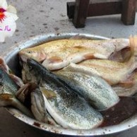 虹鳟鱼的做法 农家院烧烤虹鳟鱼的做法