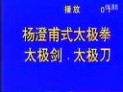 太极拳视频教程 中国太极拳视频教程大全226集