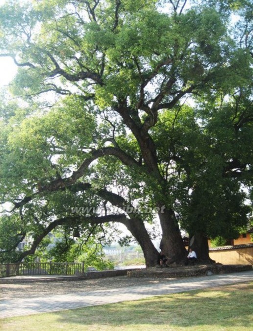 江西瑞金沙洲坝村红色旅游区