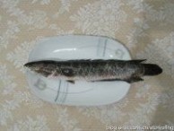 [转载]生鱼的营养价值