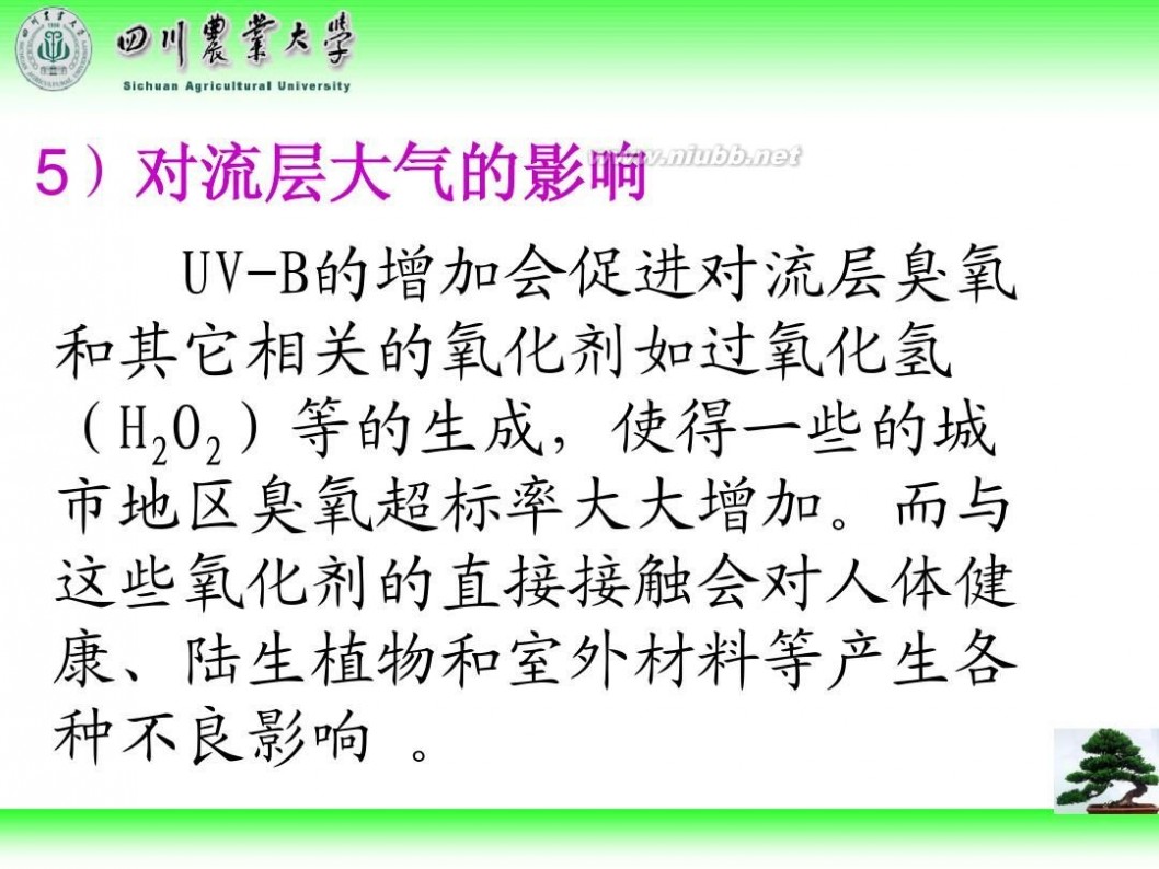 林学概论 四川农业大学 林学概论课件