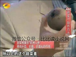 王明勇半断食疗法 百科全说王明勇肝胆排石断食排毒全集1