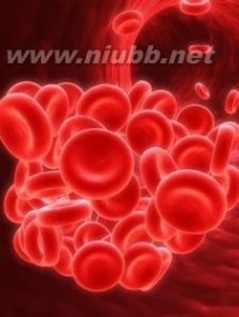 红细胞：红细胞-基本介绍，红细胞-种类介绍_红细胞的作用