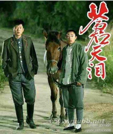 2012年电视剧《战火中的花蕾》全部演员表、图片和片花