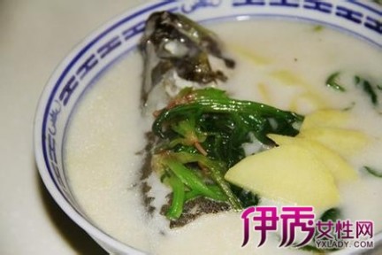 鱼汤的做法大全 鲜美鱼汤的做法大全 好吃营养又简单易做