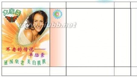 礼品袋设计 CORELDRAW礼品袋包装设计