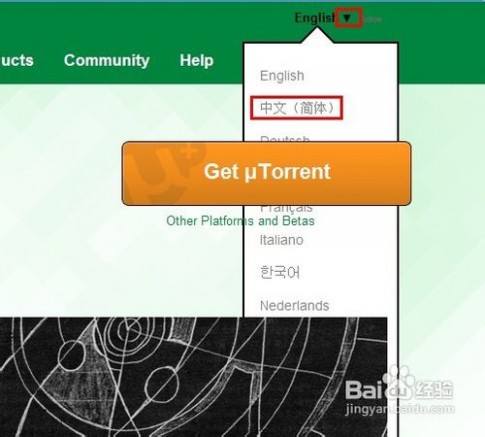 utorrent utorrent怎么用 精