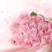 11朵粉色玫瑰花语 11朵粉色玫瑰花语一生一世只爱唯一的你