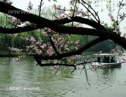 花团锦簇是什么意思 五一出行，拥抱扬州瘦西湖花团锦簇的春意