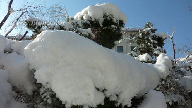 七律春分日喜雪——北京十年来最美的雪景（2013.3.20北京雪景图片）