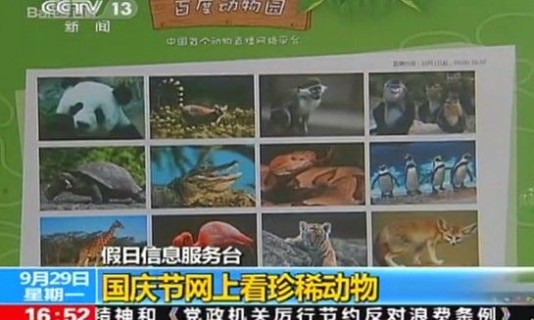 百度 百度动物园 视频直播动物园