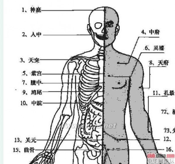 中医按摩师 中医人体穴位图及保健按摩方法