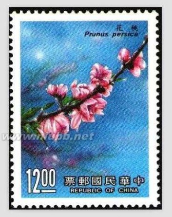 桃花邮票 我国发行的以桃花为题材的特种邮票
