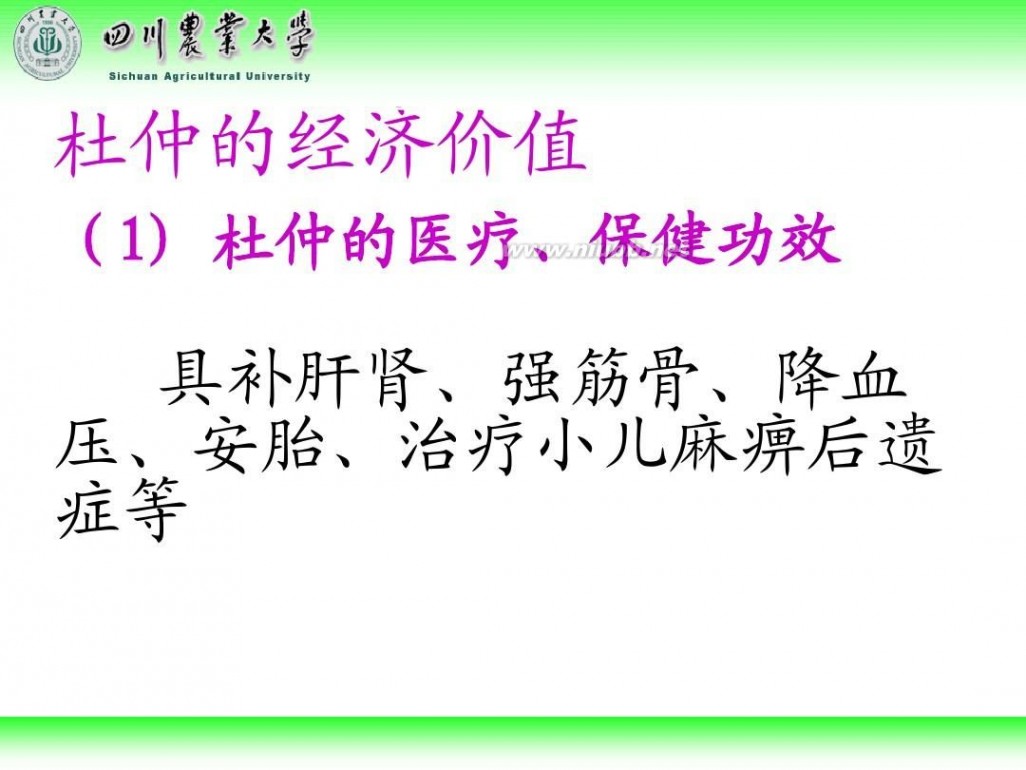 林学概论 四川农业大学 林学概论课件