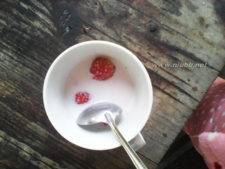 草莓牛奶做法 草莓牛奶的做法,草莓牛奶怎么做好吃,草莓牛奶的家常做法