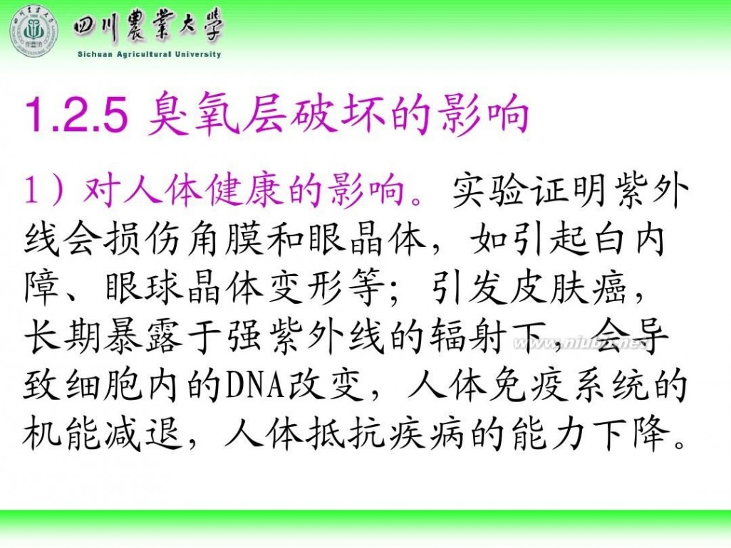 林学概论 四川农业大学 林学概论课件