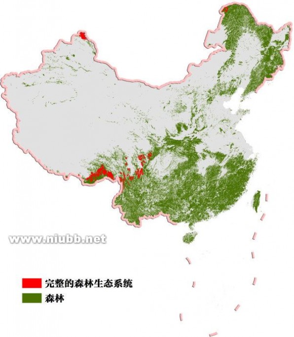中国原始森林 影像观测:中国完整森林分布