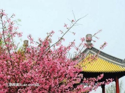 花团锦簇是什么意思 五一出行，拥抱扬州瘦西湖花团锦簇的春意