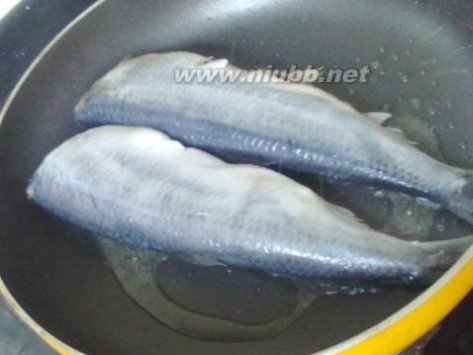 青鱼怎么做好吃 烧青鱼的做法，烧青鱼怎么做好吃，烧青鱼的家常做法