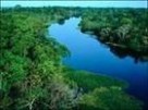 亚马逊河：亚马逊河-概述，亚马逊河-地形地貌_亚马逊河有多长