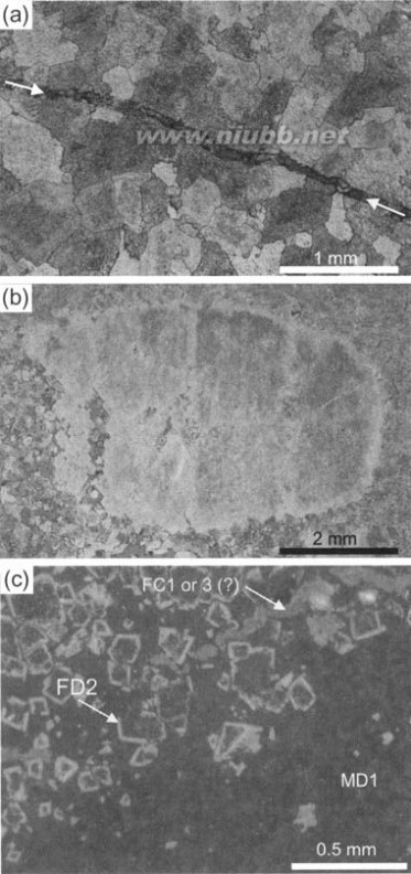 dolomite The geometry and petrogenesis of dolomite hydrocarbon reservoirs-3