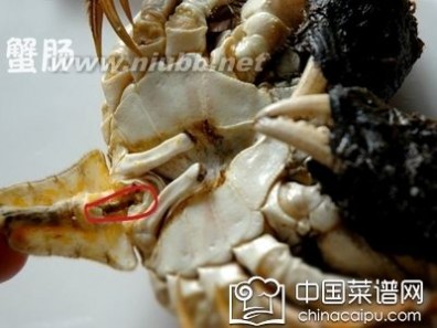 螃蟹不能喝什么一起吃 螃蟹不能和什么一起吃？揭秘螃蟹不能吃的部位