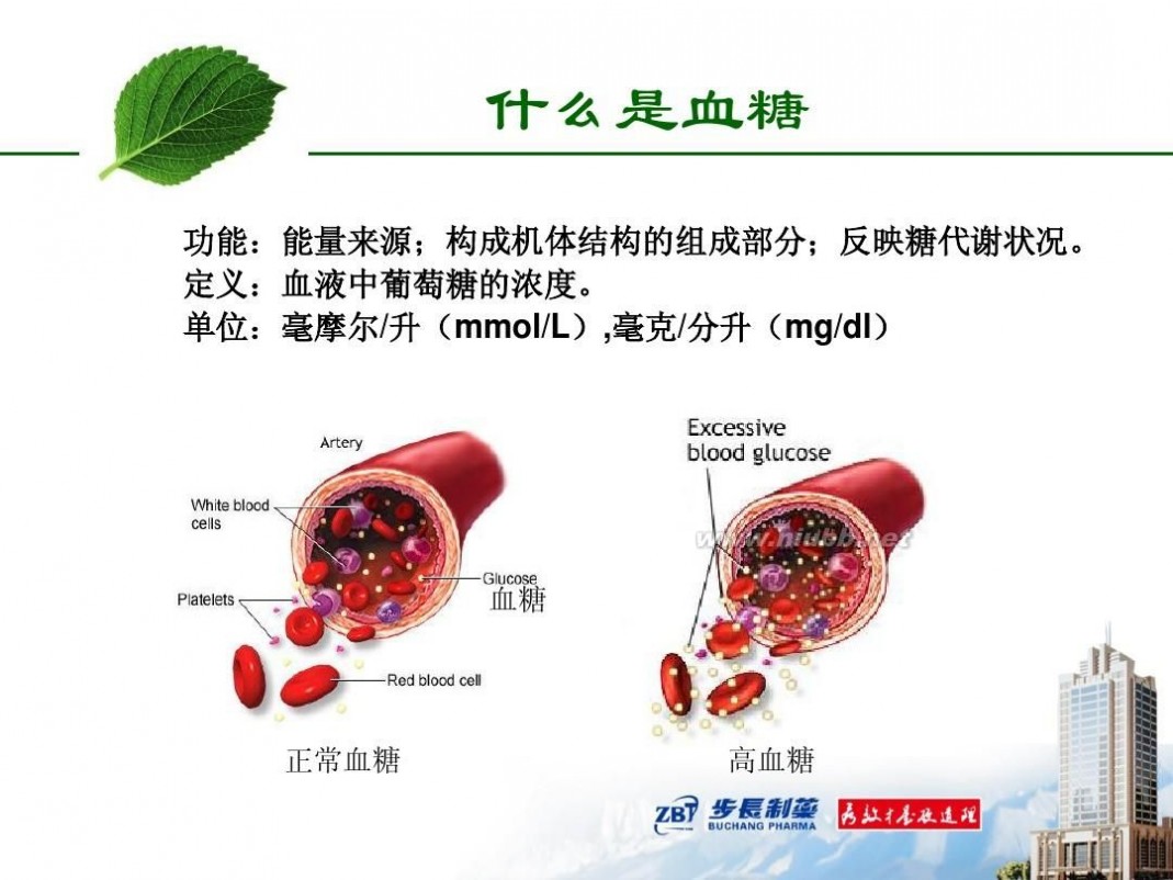 tm2012 2012-TM-01糖尿病基本知识