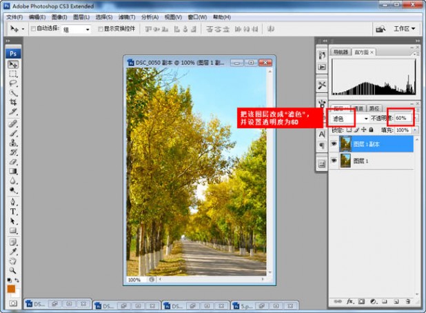 Photoshop快速为树林图片增加艳丽的秋季色效果