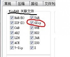 文件打开方式 各类格式文件打开方法大全