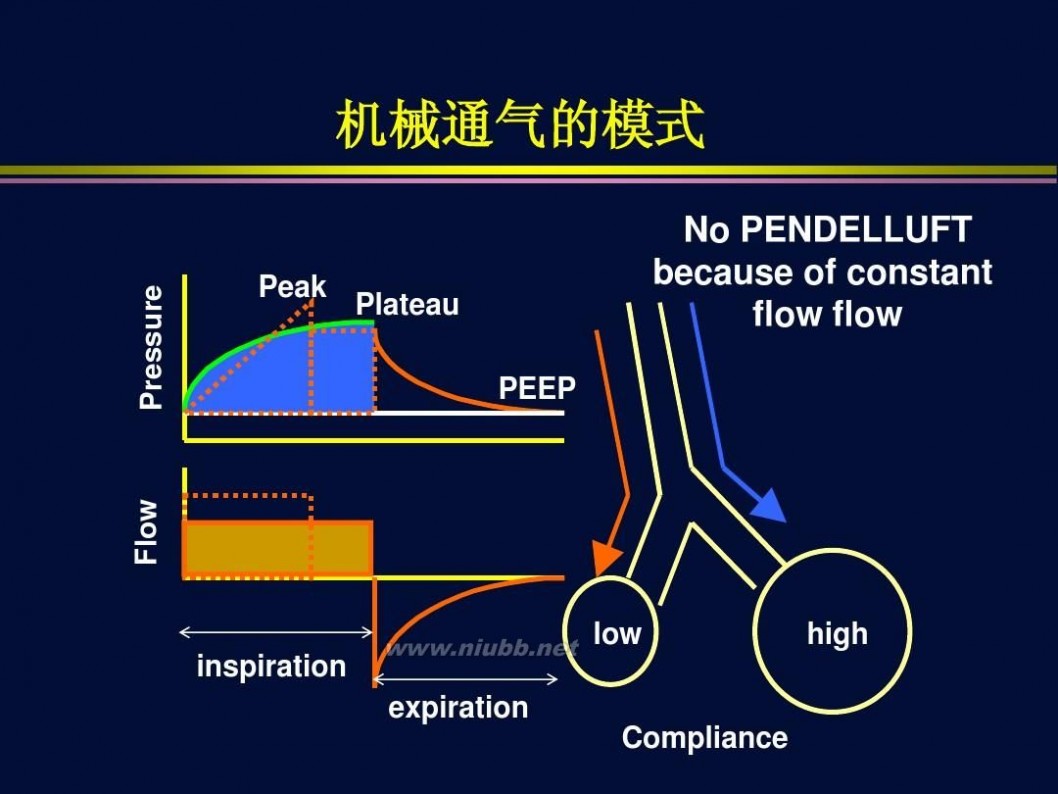 杜斌 杜斌_机械通气