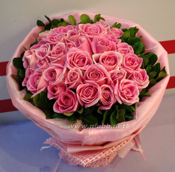 33朵粉玫瑰花语 33朵白玫瑰花语代表什么