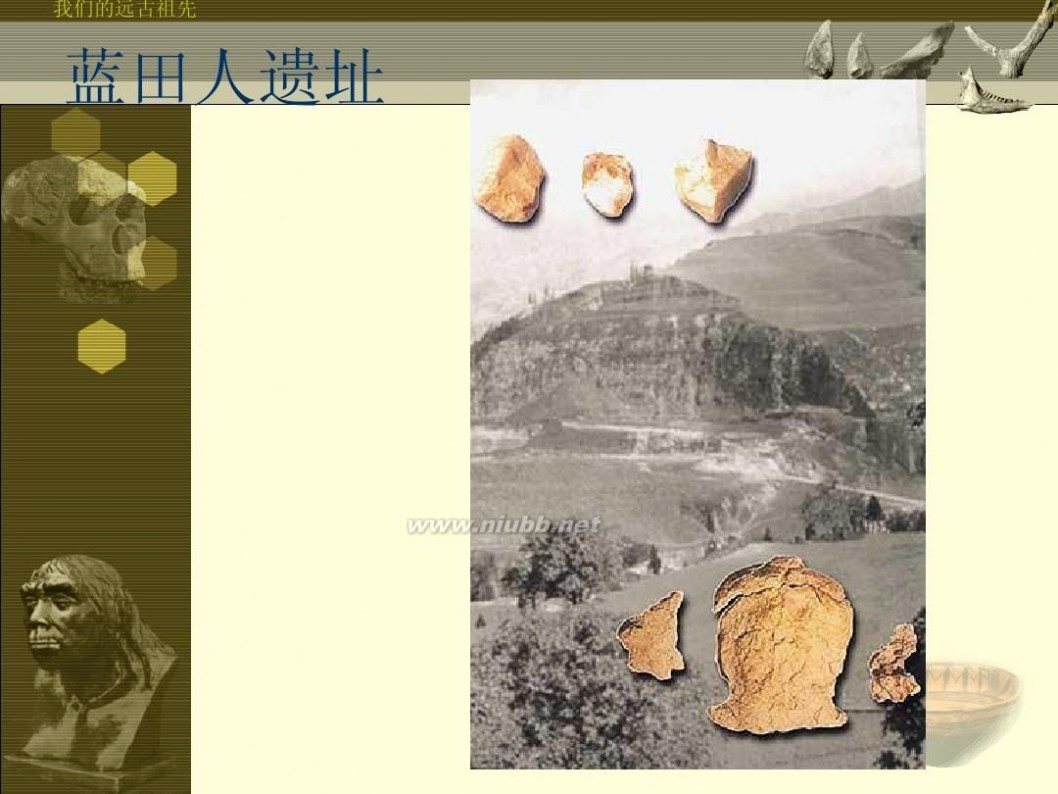 我国境内最早的人类 中国历史常识《中国境内最早的人类》