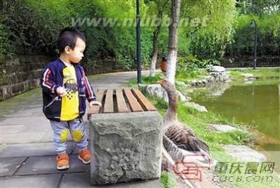 学术猫 中国大学校园神兽排行榜出炉：北大学术猫居首